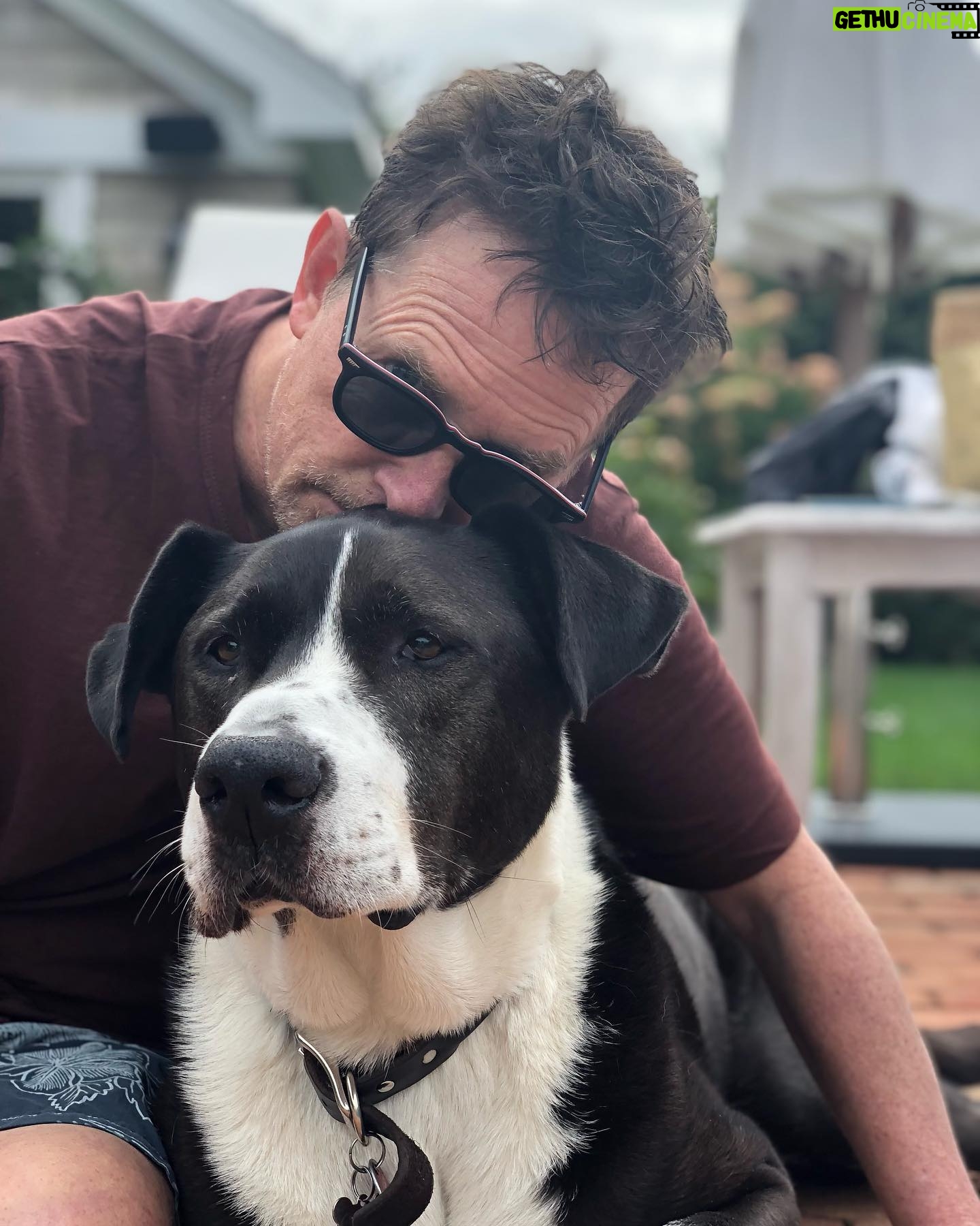 Tracy Pollan - 27.9K Likes - Happy Father’s Day @realmikejfox Another thing you have mastered, best dad ever!!! I love you