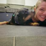Tracy Spiridakos Instagram – Nala came to work with me today. A series. 🐾