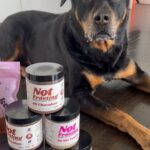 Tracy Spiridakos Instagram – You guys, my friend Shayne made these healthy desserts and they’re really really good. Nala agrees, even though they’re for humans and she’s never tried them, she can sense their greatness. Get yours @guiltlessbyshayne before they’re all gone! #healthyhumandesserts #notforpets