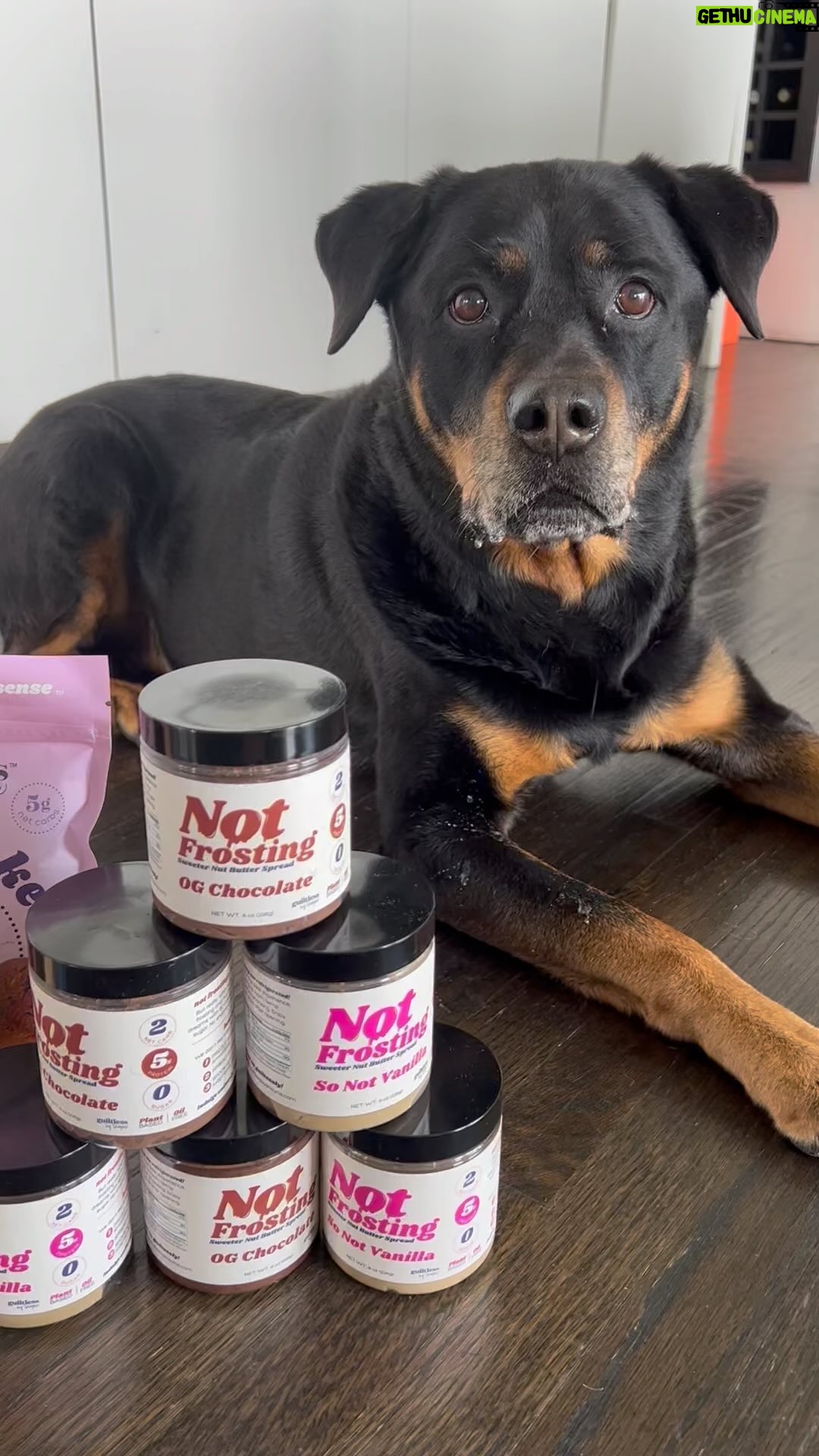 Tracy Spiridakos Instagram - You guys, my friend Shayne made these healthy desserts and they’re really really good. Nala agrees, even though they’re for humans and she’s never tried them, she can sense their greatness. Get yours @guiltlessbyshayne before they’re all gone! #healthyhumandesserts #notforpets