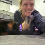 Tracy Spiridakos Instagram – Nala came to work with me today. A series. 🐾