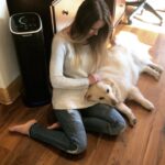 Trista Sutter Instagram - When she loved us…and we loved her. Oh how we loved her. #ripsophiebear 🥹💔🐶🌈😇❤️🕊️😢