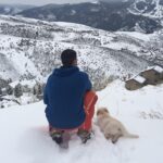 Trista Sutter Instagram - I can’t believe she’s gone. 💔 For 8 years, our Sophie Bear, low-rider Golden, silly butt mutt, good girl, presh Sophes gave us an unconditional love unlike any other. She wouldn’t leave your side if you were sick, was always up for an adventure, welcomed you home with pure joy and a song, and was grateful for every belly scratch, play date, face smush in the snow, bird/chipmunk/squirrel chase, visit to the treat closet, and zoomie session. She was one of the brightest lights of my life and although I’m feeling all the sad/angry/confused/disbelief feels, I’m trying to focus on that light and how blessed we are that we got to call her our fur baby. I love you Soph. ❤️ Rest in peace, sweet baby. 👼🏼 #heartbroken #sophiebear