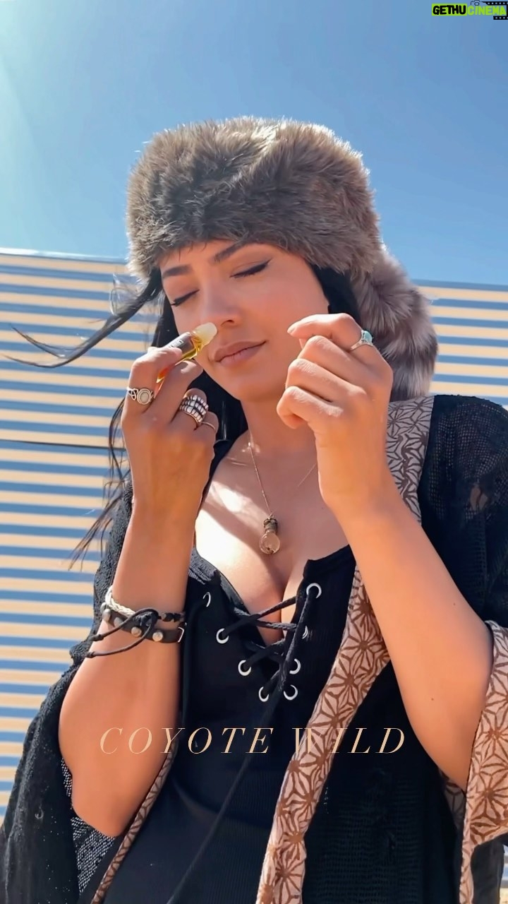 Tristin Mays - 17.3K Likes - Something about this body oil….
It’s more than just a fragrance, it’s an experience. My scent is #5. @coyotewildxyz
Kimono by @divinitty22
Plant based🌱
Non toxic ☠️