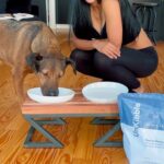 Tristin Mays Instagram - My search for the perfect diet for this sensitive belly has finally come to an end! @spotandtango UnKibble didn’t give Sergeant any itch fits or stomach issues! It’s made with ALL natural 100% human grade ingredients with zero additives! Yes, I taste-tested it myself…I’m so happy to be able to give him something he’s fully happy with. They also customize the recipes and serving scoops depending on their weight, breed, and health concerns! Zero guesswork, zero mess. I’m finally guilt free when feeding my boy and he seems to be happier than EVER just within a few days. I strongly recommend you try this brand if your pup is a picky eater. Thank you @spotandtango! Sergeant and I are so excited to start this new chapter together. Use my code #SERGEANT50 at checkout! #SpotAndTangoPartner