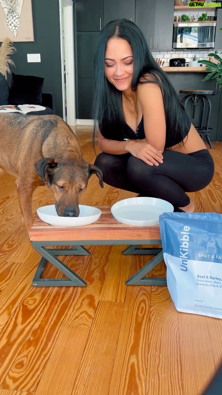 Tristin Mays - 19.7K Likes - My search for the perfect diet for this sensitive belly has finally come to an end! @spotandtango UnKibble didn’t give Sergeant any itch fits or stomach issues! It’s made with ALL natural 100% human grade ingredients with zero additives! Yes, I taste-tested it myself…I’m so happy to be able to give him something he’s fully happy with. They also customize the recipes and serving scoops depending on their weight, breed, and health concerns! Zero guesswork, zero mess. I’m finally guilt free when feeding my boy and he seems to be happier than EVER just within a few days. I strongly recommend you try this brand if your pup is a picky eater. Thank you @spotandtango! Sergeant and I are so excited to start this new chapter together. Use my code #SERGEANT50 at checkout! #SpotAndTangoPartner
