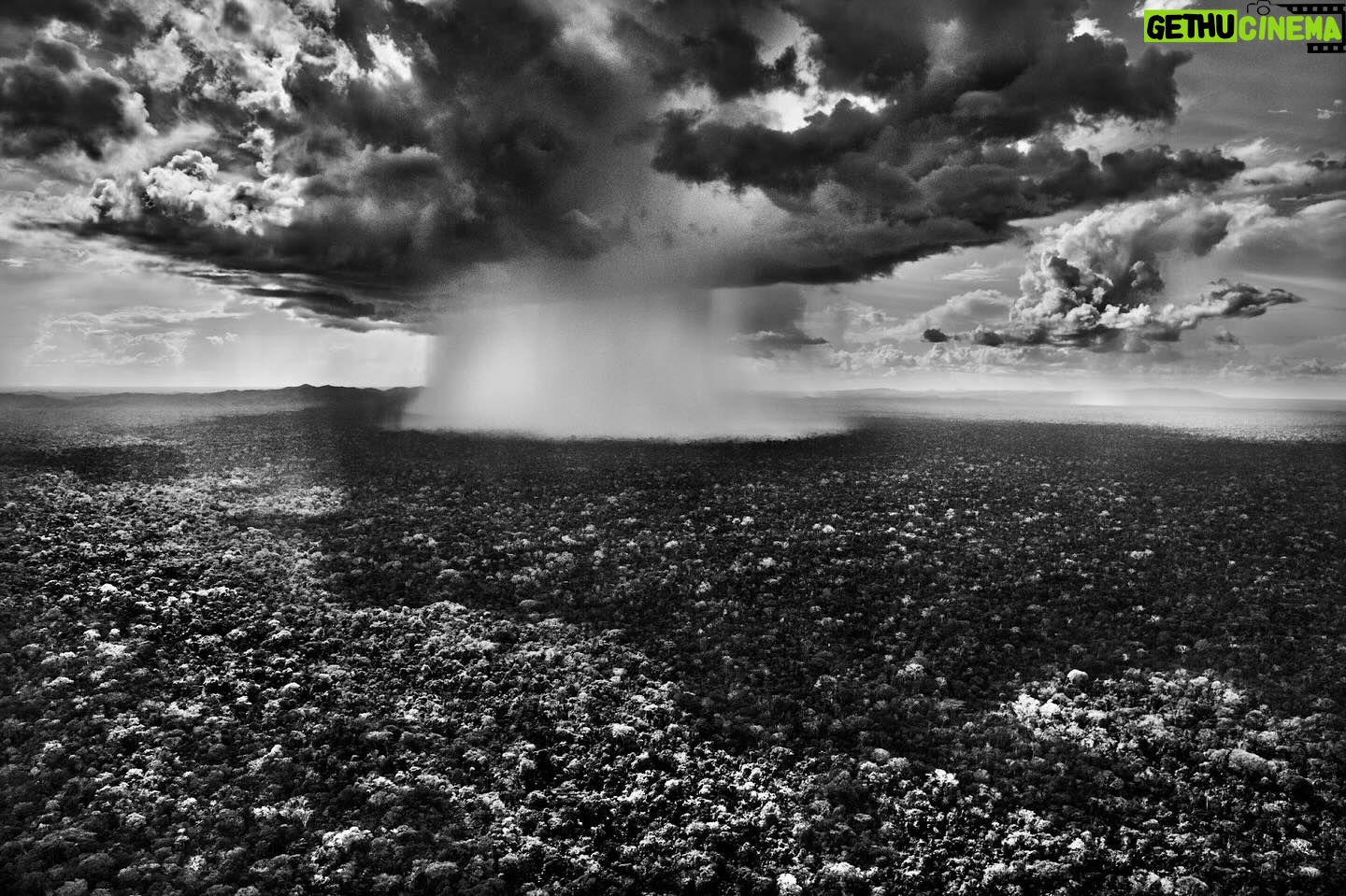 Trudie Styler Instagram - Dearest Sebastião @sebastiaosalgadooficial thank you for your incredible generosity in donating one of the most beautiful works from your AMAZÔNIA Collection to our @rainforest_fund fundraiser in London, this May. This photograph of the rainfall in Serra do Divisor National Park in Brazil is breathtaking. We could not have asked for anything more exquisite. @theofficialsting and I have always been the greatest of admirers as you know and of your work @institutoterraoficial protecting Brazil’s precious Atlantic forests. We wish you could join us on the night for the auctioning of this wonderful piece. Huge thanks and love from us both - Trudie & Sting