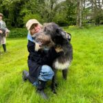 Trudie Styler Instagram - My fine friend Finch, the sweet and gentle son of my handsome hound Atticus. Finch took 2nd place at the Hound Association show in Scotland and 2nd place at Crufts this year. 3½ years old and an amazing dog, he takes 1st place in my heart. 💕