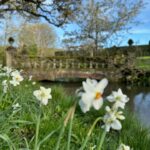Trudie Styler Instagram - Spike and Finch are full of the joys of spring! After what feels like the longest wettest winter, we can start to enjoy the colours and scents of an English country garden and appreciate nature’s cyclic beauty. Every jubilant bark under a clear blue sky is a lesson in how to find the joy in each moment. 🐾