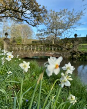 Trudie Styler Instagram - Spike and Finch are full of the joys of spring! After what feels like the longest wettest winter, we can start to enjoy the colours and scents of an English country garden and appreciate nature’s cyclic beauty.  Every jubilant bark under a clear blue sky is a lesson in how to find the joy in each moment. 🐾