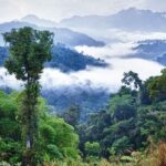 Trudie Styler Instagram - Really pleased to have finalised with fellow @rainforest_fund Board members this week, the programmes and projects for 2024 support. The Rainforest Fund partners with the very best initiatives on the ground designed to protect our rainforests, indigenous groups and their valuable culture. As always we have had some very strong contenders and powerful projects to consider this year from indigenous communities worldwide, from Brazil to the Philippines, Africa and Indonesia and from central and south America, all with huge merit. Some of the 2024 projects partners are new to us, some we have worked with for many years. The primary focus of the Fund is to enhance the skills of indigenous leaders and their communities in defending their territories and asserting their legal rights. Many face violence, threats, land grabs and other legal challenges. Our job as an organisation is to support them in every way we can with funding for legal advocacy work, supporting their conservation efforts, economic development through community based initiatives to enhance sustainable land management and indigenous guardian schemes. The impact these projects have on the long term protection of the rainforest, its wildlife and inhabitants is considerable. We are eternally thankful to those who over more than 35 years have supported this work. 💚🍃🌱🌿 For more details on the Rainforest Fund please see the link in the bio. #rainforestfund #indigenousgroups #conservation