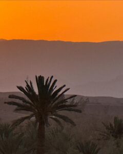 Trudie Styler Instagram - An unforgettable few days in Morocco with dearest friends, basking in the golden light and enjoying the amazing Berber hospitality in Skoura, Ouarzazate. I hitchhiked around Morocco in my late teens and have never forgotten how welcoming and generous the people were. Such a pleasure to return and feel that same warmth and friendship! @payalkhandwala @Moroccoprimed @simonastaire @pilar.ordovas Thank you @abercrombiekent & @geoffrey_kent