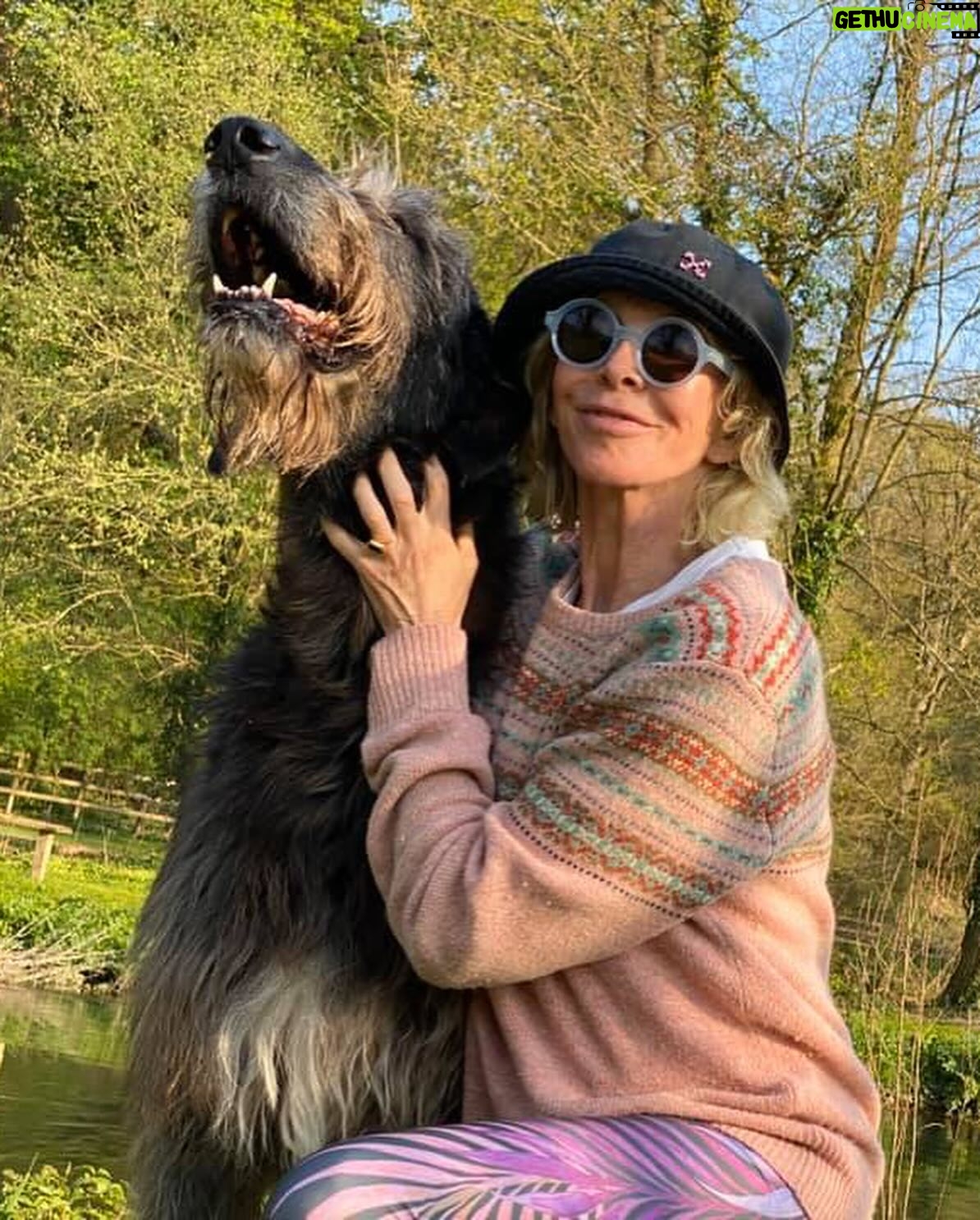 Trudie Styler Instagram - My fine friend Finch, the sweet and gentle son of my handsome hound Atticus. Finch took 2nd place at the Hound Association show in Scotland and 2nd place at Crufts this year. 3½ years old and an amazing dog, he takes 1st place in my heart. 💕