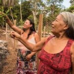 Trudie Styler Instagram - Today, I wanted to share with you a much loved project supported by the @rainforest_fund 🌱. It caught my attention last year for its outstanding contribution towards protecting the world’s rainforest, its inhabitants and its precious resources. The Kaibi indigenous community living in the Amazon’s Xingu Park are paving the way by recording and monitoring the forest’s abundance of medicinal plants 🍃. Painstakingly, the Kaibi have studied and surveyed their land, documenting each and every plant in their ecosystem for its potential health benefits. Their aim has been to preserve and strengthen indigenous knowledge in the use of medicinal plants and the value of preserving the forests. Gaining knowledge from their elders they have created an encyclopaedia of plants and the best way to use them in treating illnesses. This ingenious project has set up kitchen garden nurseries in each of their villages to cultivate the most vital plants needed. This played a vital role during the covid pandemic when locally grown remedies undoubtedly saved countless lives. We have much to learn ourselves from these projects, about the health benefits of the world’s rainforests and its plant life, including the much known periwinkle flower a powerful remedy in fighting childhood leukaemia. We are so thankful for all these initiatives which seek to preserve the beauty of the rainforest, while demonstrating how to harness its magical powers, in a sustainable way. 🌱🍃💚 #rainforest #medicinalplants #brazil