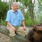 Trudie Styler Instagram - Congratulations Sir David on your 98th Birthday! We are both led by your inspirational work, protecting our precious planet and guiding us with your wisdom and knowledge.  The world has much to thank you for, highlighting the plight of endangered species, threatened habitats and the need to conserve wild places on earth. With you, the World is more wonderful! Happy Birthday, dearest David. With love from us both Trudie and Sting 🌱💚