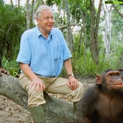 Trudie Styler Instagram - Congratulations Sir David on your 98th Birthday! We are both led by your inspirational work, protecting our precious planet and guiding us with your wisdom and knowledge.Β The world has much to thank you for, highlighting the plight of endangered species, threatened habitats and the need to conserve wild places on earth. With you, the World is more wonderful! Happy Birthday, dearest David. With love from us both Trudie and Sting π±π