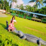 Trupti Mirambika Instagram - Funny moments 🤩💝 #🐊🦓🦁🐢