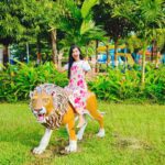 Trupti Mirambika Instagram - Funny moments 🤩💝 #🐊🦓🦁🐢