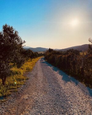 Tuğçe Açıkgöz Instagram - On the road,