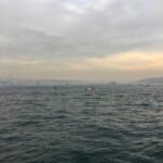Tuğçe Açıkgöz