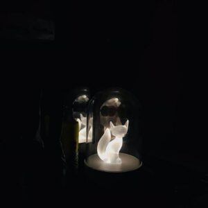 Tuğçe Karabacak Instagram - İyi uykular tilkisi✨