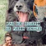 Tutú Vidaurre Instagram - 🐕‍🦺¡ Días que recuerdo que fueron geniales ! 🫶🏼 Ya que les da curiosidad mi vida de perrito, acá les dejo momentos lindos de mi vida perruna 🐾 La comida que mencione se llama @hillspetchile #graciasalaciencia #petlovers #ad