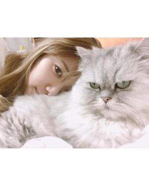 Tymee Instagram - 쿠키 장례식 잘 마치고 화장하고, 작은 돌에 담아 데려왔습니다. 함께 애도하고 위로해주신 분들 모두 고맙습니다. 

쿠키는 2009년부터 14년동안 저와 한 공간에서 살아왔습니다. 제가 가장 힘들었던 시간도, 가장 행복하고 반짝거리던 시간도 모두 함께했던 애인같고 자식같은 존재였습니다.

깊이 사랑하고 아끼던 아이가 별이 되고 나니 감당하기 어려울 정도로 슬픔이 큽니다. 아마도 많은 시간이 지나야만 이 감정이 희석되겠죠. 
기다리고 있을 쿠키를 볼 생각에 항상 집에 오는 길이 기분 좋았고, 매일 아침 쿠키에게 잘잤냐고 인사하며 쓰다듬는걸로 하루를 시작했는데, 이제는 더이상 예쁘게 말을 건넬 곳도 없고 하루를 어떻게 보내야할지 모르겠습니다. 매일 보고싶어하며 울다가 지쳐 자는게 일과가 되었습니다. 

오래 투병하다 떠나서 하늘나라에서는 고통 없이 편안하게 쉬고있을것 같아요. 나중에 제가 가면 마중 나와 주겠죠. 그때 꼭 반갑게 다시 만날 수 있길 기도하고 있습니다. 

제 사랑에 더해서 여러분 사랑까지 잔뜩 받고 갔으니 행복했을거예요. 쿠키 가는 길 평안하라고 기도해주셔서 감사드립니다. 
그동안 우리 쿠키 예뻐해주셔서 정말 감사합니다. 

마음 잘 추스리고 기운 내보겠습니다.