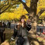 Ui Mihara Instagram - いちょう並木最高だった