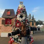 Ui Mihara Instagram - クリスマスマーケット行った時の🎄