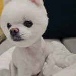 Uie Instagram - . 이렇게 하는거 맞아요??
