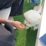 Uie Instagram - . 너가 행복했음 ok🐶