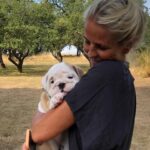 Ulrika Jonsson Instagram – This is Hank Winston Monet.
He arrived a week ago.
Those of you who know me, know I’ve fostered and adopted before. And I will do so again.
I continue to support @theedwardfoundation .
I know getting a puppy isn’t popular with many.
Hank came into my life somewhat unexpectedly and serendipitously.
Adoption will be a part of my life again at some point but this was right for me now.
Welcome Hank.
(Rocanellie Enlightenment)
Leo is being incredibly patient like the king he is.
(Hank has got Winston as his middle name in tribute to our late friend @winstonandbentley ❤️)