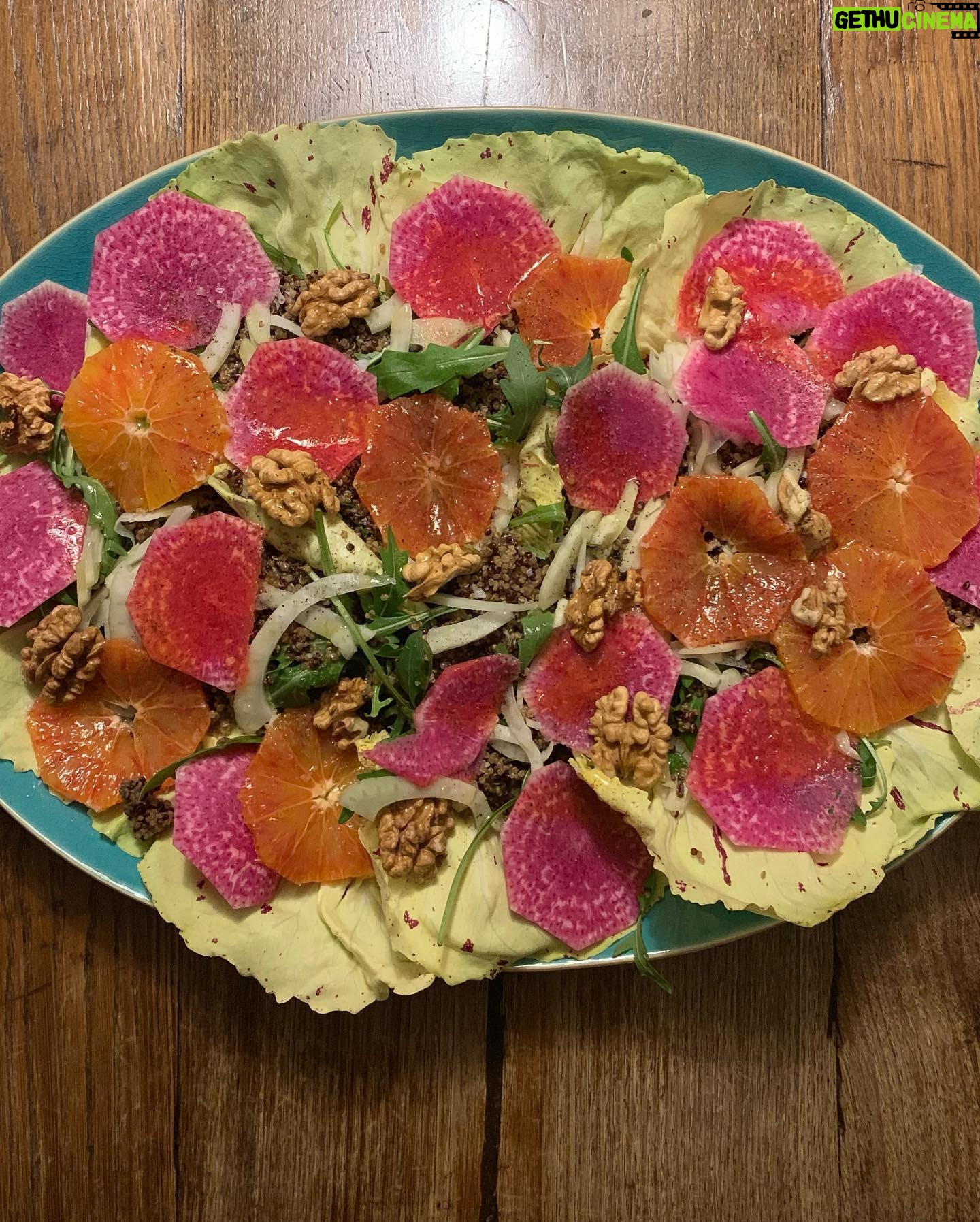 Ulrika Jonsson Instagram - Castelfranco Radicchio, rocket, fennel, blood orange, radish, walnuts, orange, quinoa. Dressed in hazelnut vinaigrette. Iām very saucy. Then succumbed to cubed creamy Lancashire cheese and avocado. On the side. Everyone likes a bit on the side. š All my own work. Thanking.