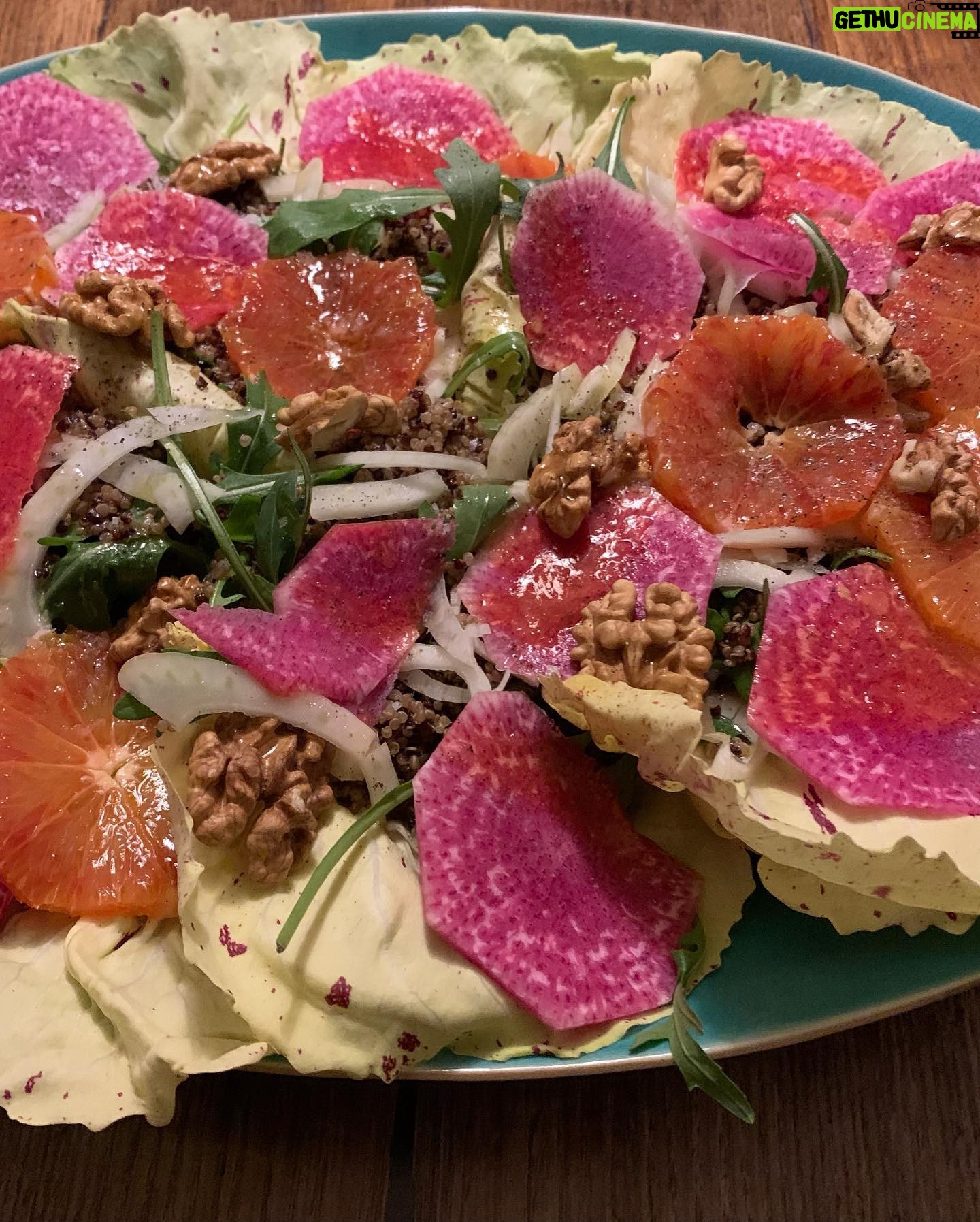 Ulrika Jonsson Instagram - Castelfranco Radicchio, rocket, fennel, blood orange, radish, walnuts, orange, quinoa. Dressed in hazelnut vinaigrette. Iām very saucy. Then succumbed to cubed creamy Lancashire cheese and avocado. On the side. Everyone likes a bit on the side. š All my own work. Thanking.