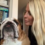 Ulrika Jonsson Instagram - I have news. Randomly, on this day last year, my little Leo started chemo for his chronic lymphocytic leukaemia. Yesterday I spoke to his consultant @fitzpatrick_referrals who told me we can stop the chemo because although he will never be cured, he has responded well to treatment and will now just have regular blood tests. (Huge thanks to our local vet @henleyvets who check him every 3 weeks). You guys know how much I love this boy. You also know the dogs I’ve lost. This is the best news in the circumstances and I am quietly thrilled. It’s all that I could have asked for. Leo, on the other hand, has taken the news in his stride. I’m working intensely at the moment and it’s safe to say, he’s fuming. #leo #cancerboy #motherofbullies