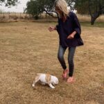Ulrika Jonsson Instagram – This is Hank Winston Monet.
He arrived a week ago.

Those of you who know me, know I’ve fostered and adopted before. And I will do so again.
I continue to support @theedwardfoundation .

I know getting a puppy isn’t popular with many.
Hank came into my life somewhat unexpectedly and serendipitously.

Adoption will be a part of my life again at some point but this was right for me now.

Welcome Hank.
(Rocanellie Enlightenment)

Leo is being incredibly patient like the king he is.

(Hank has got Winston as his middle name in tribute to our late friend @winstonandbentley ❤️)
