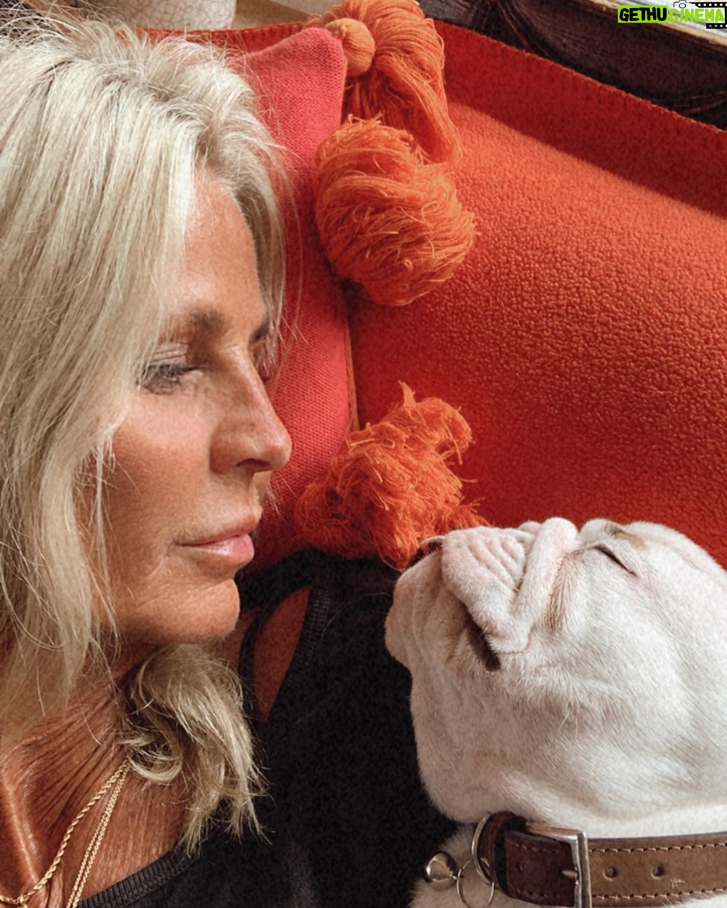 Ulrika Jonsson - 12.6K Likes - This is Hank Winston Monet.
He arrived a week ago.
Those of you who know me, know I’ve fostered and adopted before. And I will do so again.
I continue to support @theedwardfoundation .
I know getting a puppy isn’t popular with many.
Hank came into my life somewhat unexpectedly and serendipitously.
Adoption will be a part of my life again at some point but this was right for me now.
Welcome Hank.
(Rocanellie Enlightenment)
Leo is being incredibly patient like the king he is.
(Hank has got Winston as his middle name in tribute to our late friend @winstonandbentley ❤️)