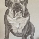Ulrika Jonsson Instagram - Shoecott’s Peter Pan aka Dexter. You would have been 9 today but only made it to 4. Because you ran like the wind; obsessed with rugby balls and your mummy in equal measure, and just like Peter Pan, you never grew up. When you left us, it nigh on broke me. Miss you, Dexter Babs. ❤️