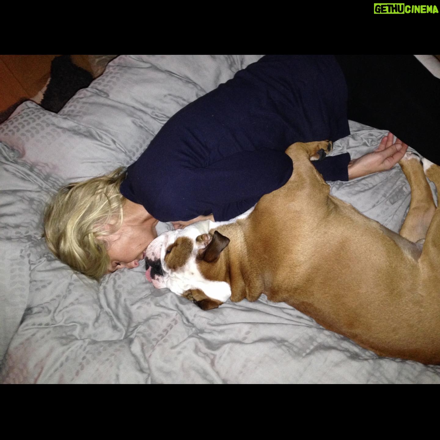 Ulrika Jonsson Instagram - 4yrs ago today we had to let you go, Dexter Babs. You won many battles but it was clear you weren’t going to win the war. You were only 4. “Shoecott’s Peter Pan”, you never got to grow up. But you lived hard and fast. Obsessed with rugby balls; sitting in the driver’s seat and just…..sit; loved Nessie even tho she tried to drown you as a puppy; you loved crazy and thought you were a lab/greyhound cross, cos you ran like the wind; you loved brioche; you loved tug-of-war and brooms. You were physical beyond reproach. A mentalist. And you were a mummy’s boy. Losing you was nearly the end of me. My Prince. With his odd shaped balls. #bulldogs #dexter #notjustadog