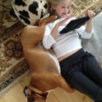 Ulrika Jonsson Instagram - 4yrs ago today we had to let you go, Dexter Babs. You won many battles but it was clear you weren’t going to win the war. You were only 4. “Shoecott’s Peter Pan”, you never got to grow up. But you lived hard and fast. Obsessed with rugby balls; sitting in the driver’s seat and just…..sit; loved Nessie even tho she tried to drown you as a puppy; you loved crazy and thought you were a lab/greyhound cross, cos you ran like the wind; you loved brioche; you loved tug-of-war and brooms. You were physical beyond reproach. A mentalist. And you were a mummy’s boy. Losing you was nearly the end of me. My Prince. With his odd shaped balls. #bulldogs #dexter #notjustadog