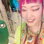 Utaha Instagram - . 『 踊る！さんま御殿!! 』年末特大4時間SP〜ひとり暮らし満喫女子の大忘年会〜 に出演させていただきました🐰💖 さんま御殿２度目の出演！ 相変わらずひな壇は緊張しましたが、みんな面白くて笑い転げた１日になりました！！🎶 よく一人で飲みに行っていますが見かけても放っておいてくださいね🤫笑 hair: @_m.339 stylist: @misaishibashi_ @yushokobayashi @tntntutu @pinkoijp @666wa666