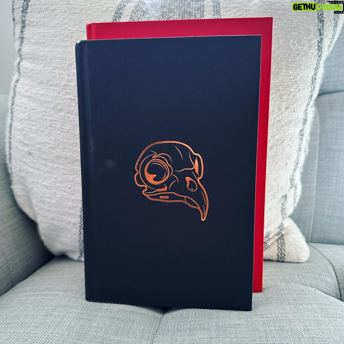 V. E. Schwab Instagram - Same wordcount! Different vibe. Behold, the US and UK hardcovers of The Fragile Threads of Power, in all their glory. The US has taken the STEALTH approach, meant to lure readers into a false sense of security by appearing slimmer than it is. The UK has taken the CHONK approach, reminding readers that while this book won’t fit easily into a purse or satchel, it CAN be used as a weapon. Lila Bard approves of both. #shadesofmagic #threadsofpower #veschwab