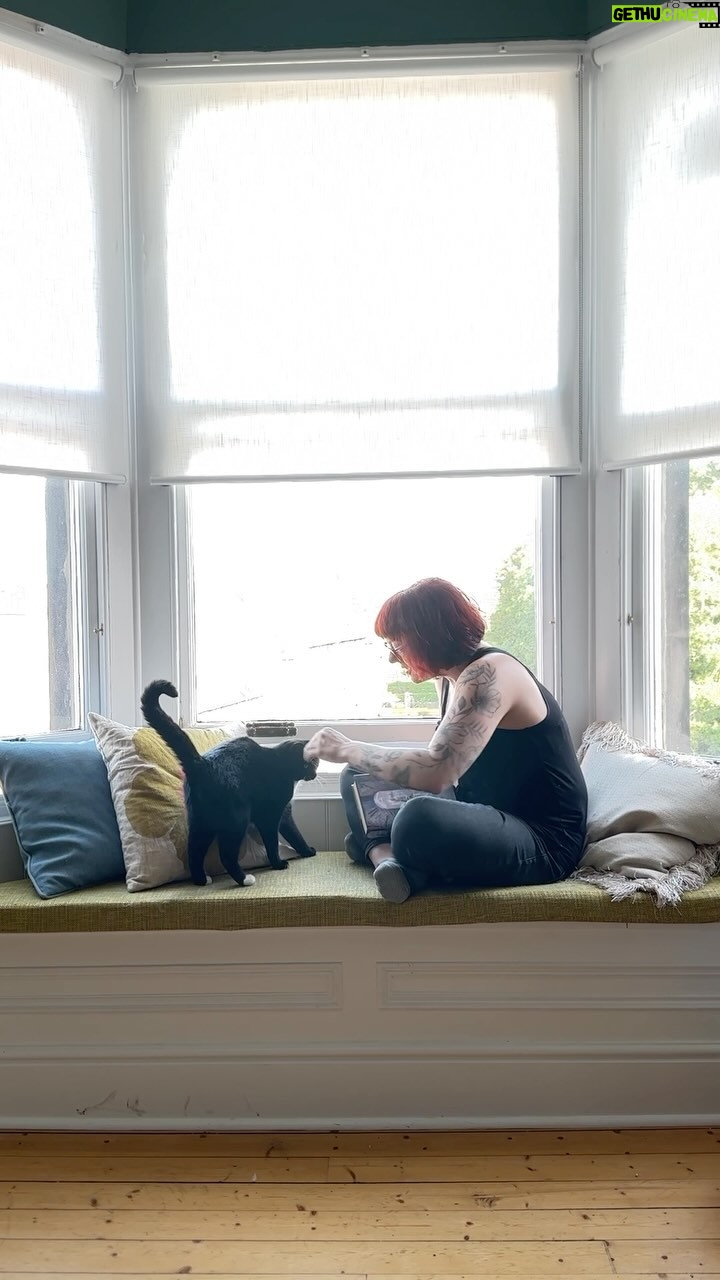 V. E. Schwab - 3 Likes - I recently hit a pretty major milestone on the newsletter subscriber side, and I just wanted to take this moment to thank so many of you for coming on that journey with me. I love sharing the month with you, and hearing back. It’s oddly intimate, and wonderfully warm. If you haven’t signed up yet, the link is in my bio. ⠀
⠀
⠀
#writer #authorsofinstagram #bookish #writingcommunity #fantasy #fantasyauthor #bookstagram