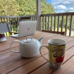 V. E. Schwab Instagram - Sitting here at this quiet table with the Pentlands in the distance, I just passed 100,000 words on my next standalone novel, which I've been calling Bones. I still have a ways to go, but it's important to celebrate the small steps toward big goals. #writing #bookstagram #authorlife #veschwab
