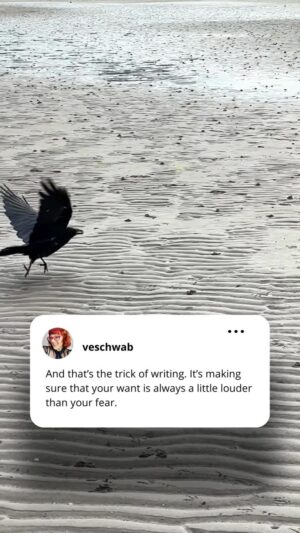 V. E. Schwab Instagram - Writers always ask me, when does the fear of failure go away? And the thing is, it never does. Success, like courage, isn’t about the *lack* of fear. It’s just about making sure the want is always louder.

.
.
.
#veschwab #reminder #lifehack #lifeadvice #writersofinstagram #dailymotivation