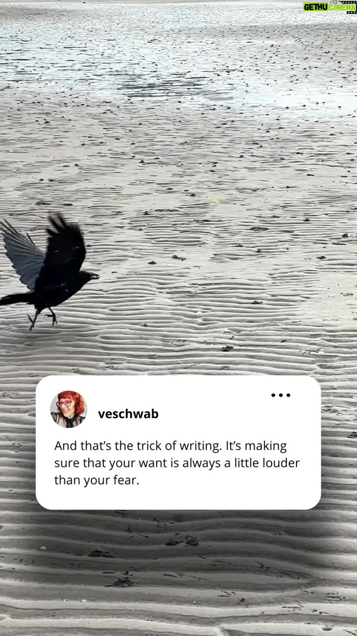 V. E. Schwab - 3 Likes - Writers always ask me, when does the fear of failure go away? And the thing is, it never does. Success, like courage, isn’t about the *lack* of fear. It’s just about making sure the want is always louder.
.
.
.
#veschwab #reminder #lifehack #lifeadvice #writersofinstagram #dailymotivation