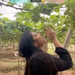 VJ Ezhilarasi Instagram - 🍇 thotam😅
