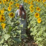 Vaibhavi Joshi Instagram - Bathing in sunlight and blooming like a sunflower 🌻 #sunflower #sunlight #energy #healing #love #travelling #réel #reelsinstagram #sunday #sundayvibes #weekend #mood #reelindia #travelreels #trendingreels #trendingsongs #music #bollywood #retro #reelsteady #reeltrending #instagood #instadaily #instafashion #actress #model #explorar #peace #meditation #fitness