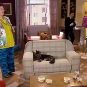 Valéria Sandalo Instagram - .
#tbt❤️ : Meire e Dinho se decepcionam mas Bartolomeu se entusiasma!
.
.
#valériasândalo #valeriasandalo #valériasandalo #valeriasândalo #c1r #cumplicesdeumresgate #sbt #sbtnovelas #novelasinfantis #novela #meireborbagato #meirec1r