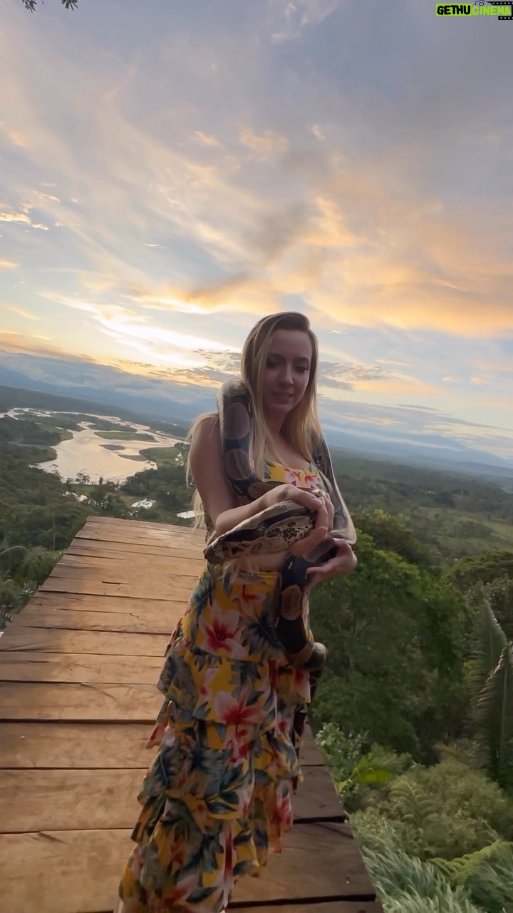 Valentina de Abreu Instagram - Que viaje tan mágico 🌿🐛 Me siento tan bendecida por todas las experiencias que viví, hubo muchísimas cosas lindas y muchas otras que me dieron miedo, pero quise vivir la experiencia amazónica al máximo😍 Aquí un pequeño resumen, pero desde tocar serpientes, comer gusanos, lanzarme de un columpio gigante y demás. #amazonia #ecuador #vzla #lachama #puyo #selva #indigenas #chontacuro #serpiente #comiungusano